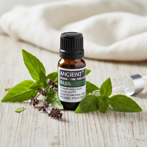 10ml Basil Essential Oil — Botanical Lifestyle
