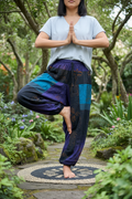 Aladdin Yoga Pants - Standing Pose