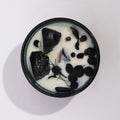 Crystal Magic Botanical Soy Candle - The Knight of Swords