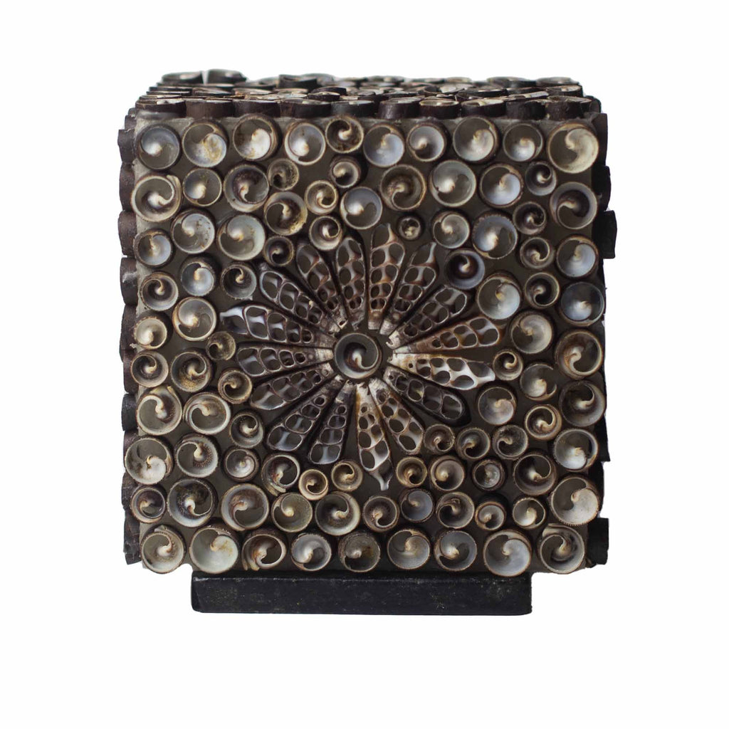 Sea Shell Lamp - Chocolate Twist Square