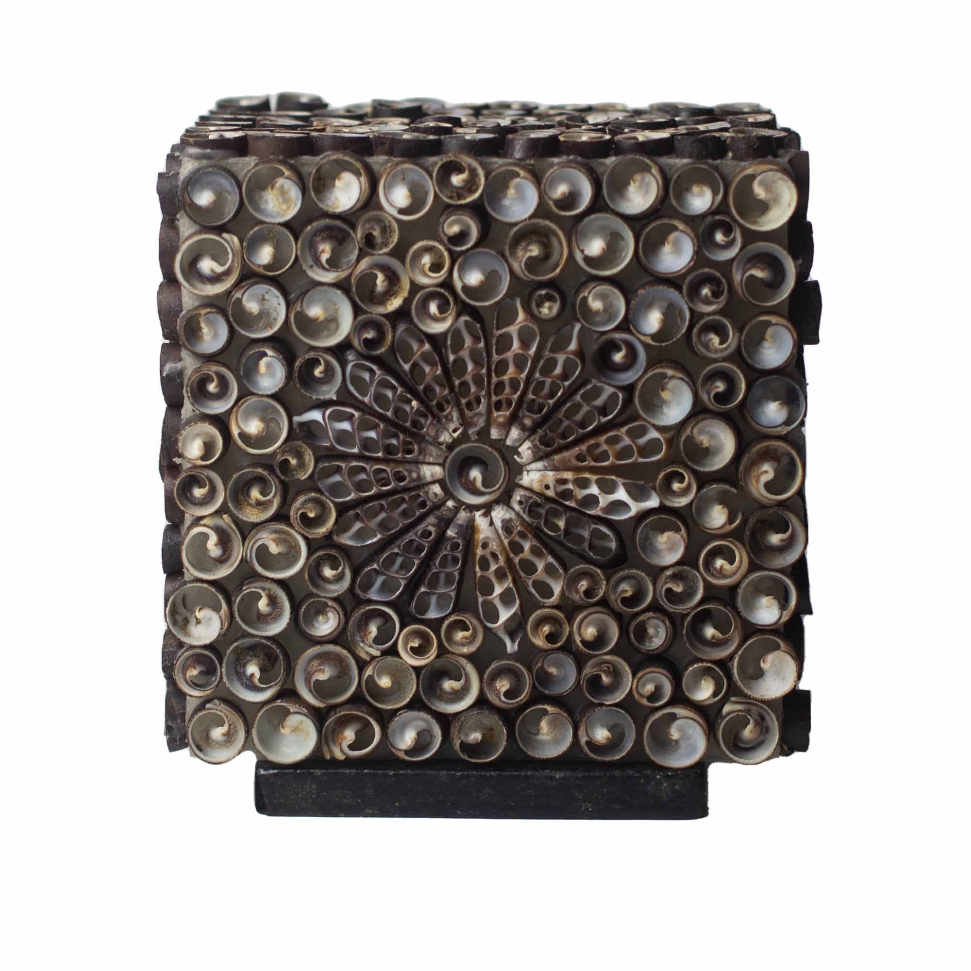 Sea Shell Lamp - Chocolate Twist Square