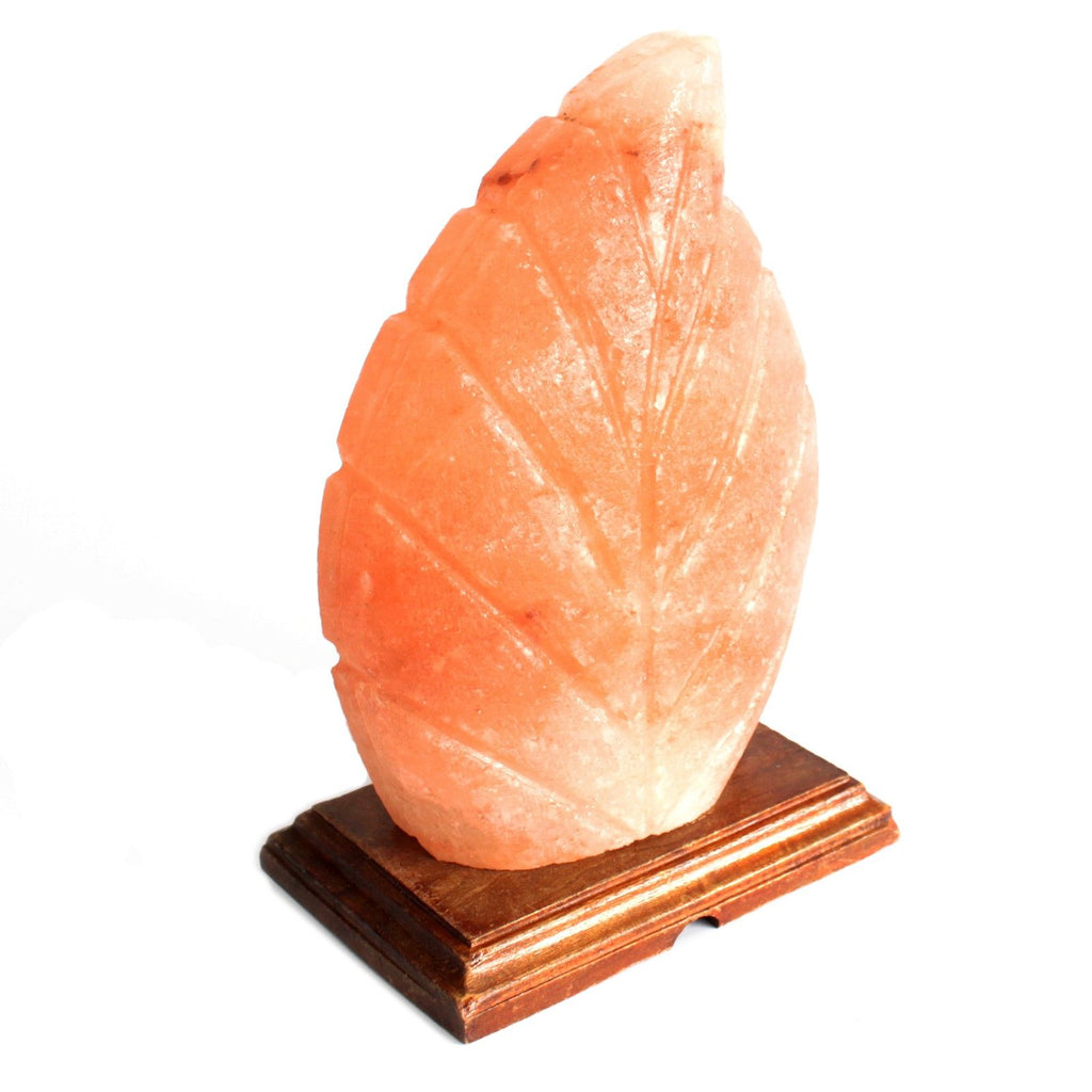 Himalayan pink crystal Salt Lamp - Fern