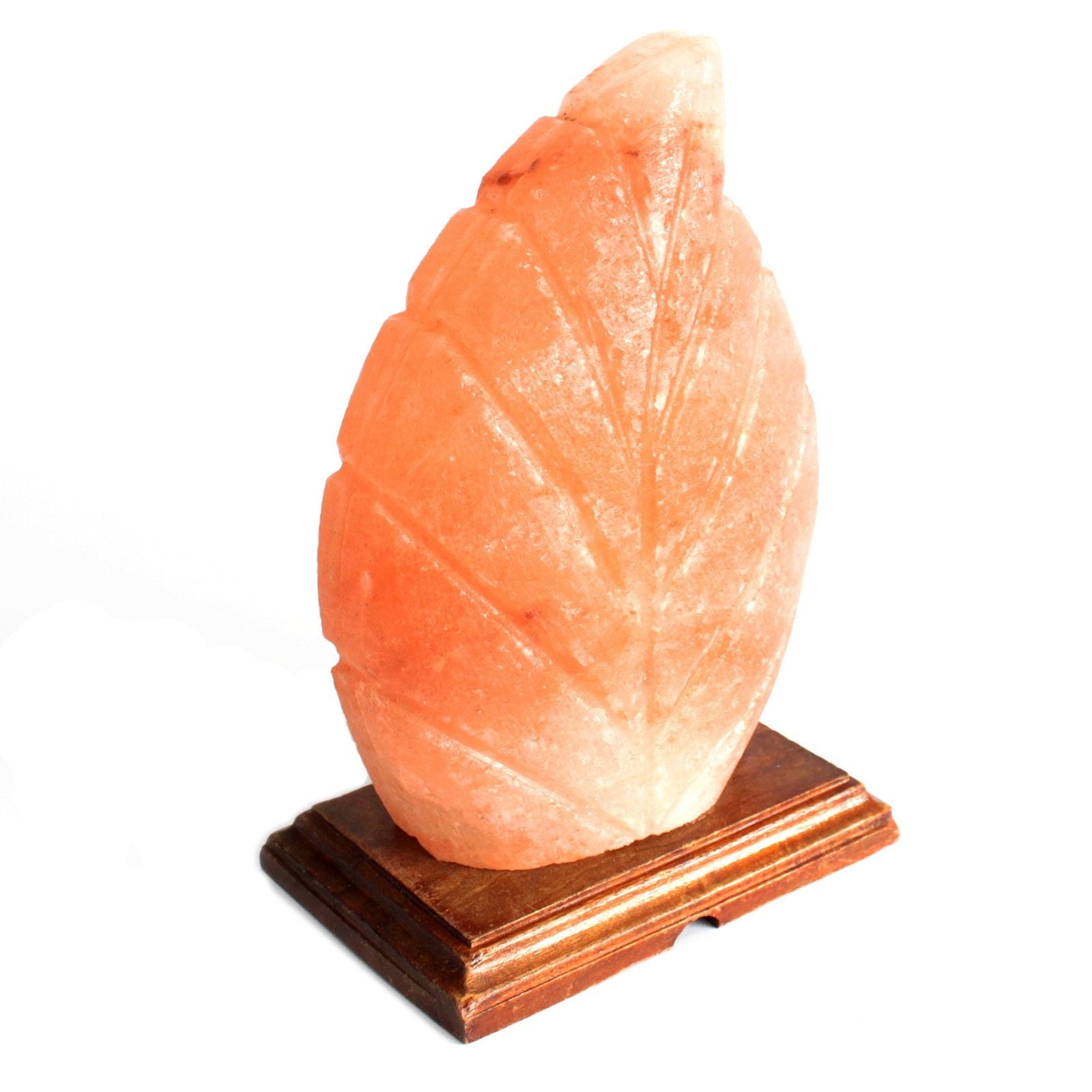 Himalayan pink crystal Salt Lamp - Fern