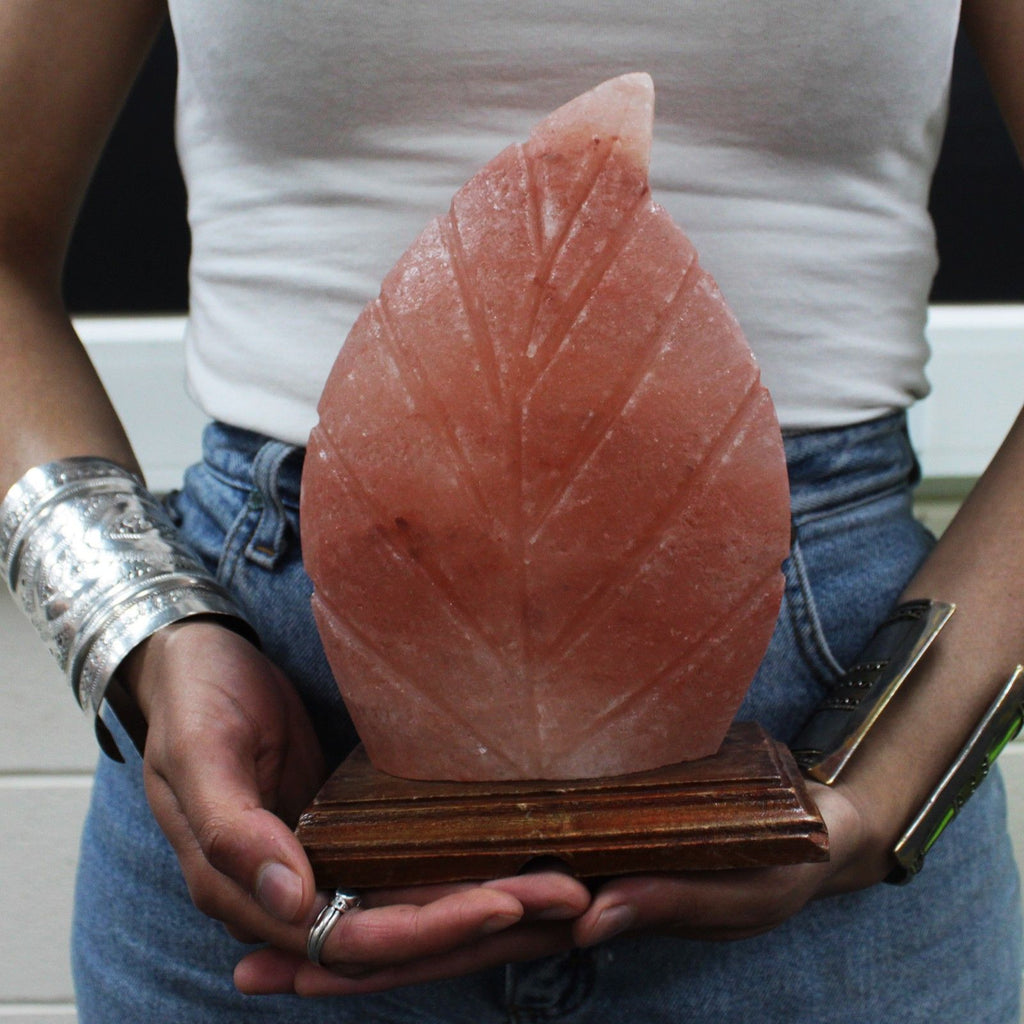 Himalayan pink crystal Salt Lamp - Fern
