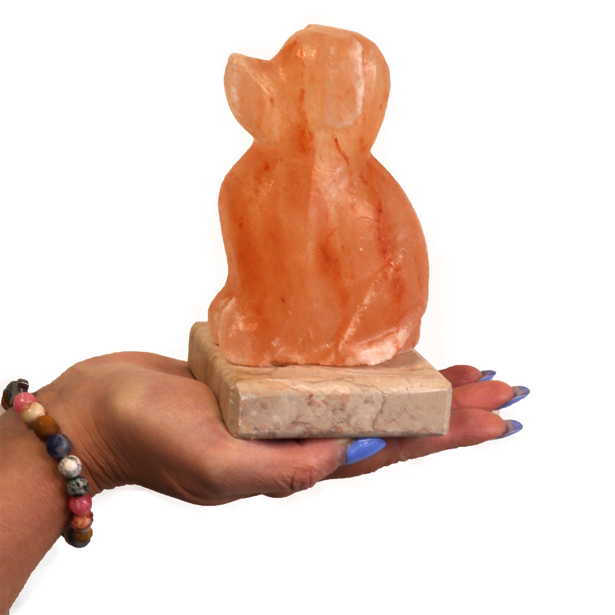 Himalayan Salt Lamp Carved-Dog Shaped (Multi Coloured)