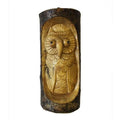 Owl in Trunk Carving