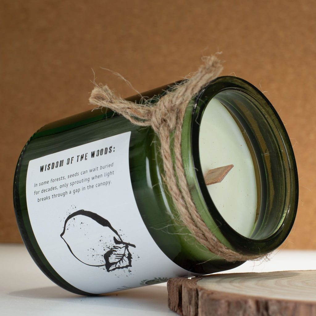 Woodwick Soy Candle - Cedar Citrus
