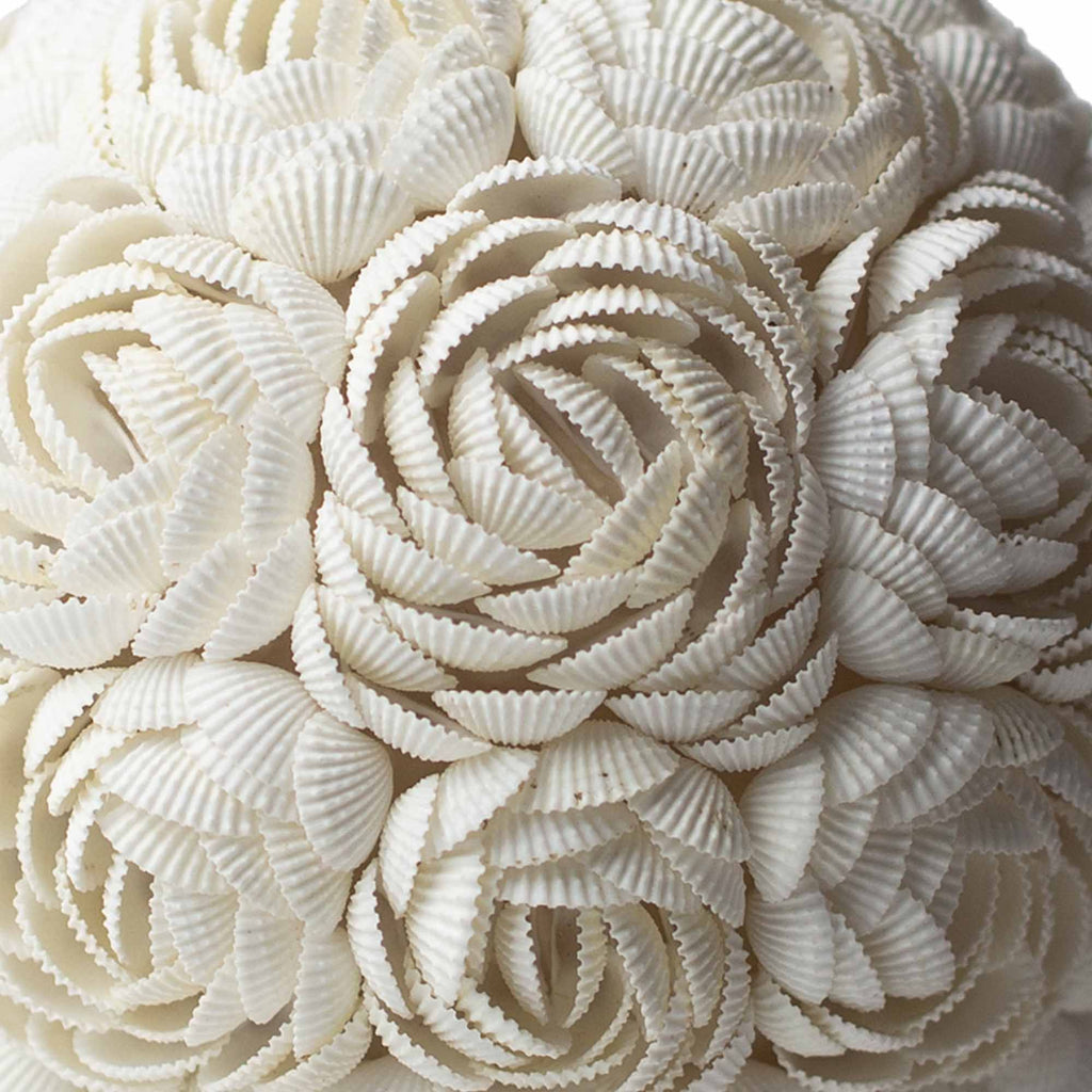 Boho Sea Shell Lamp - Rose Globe