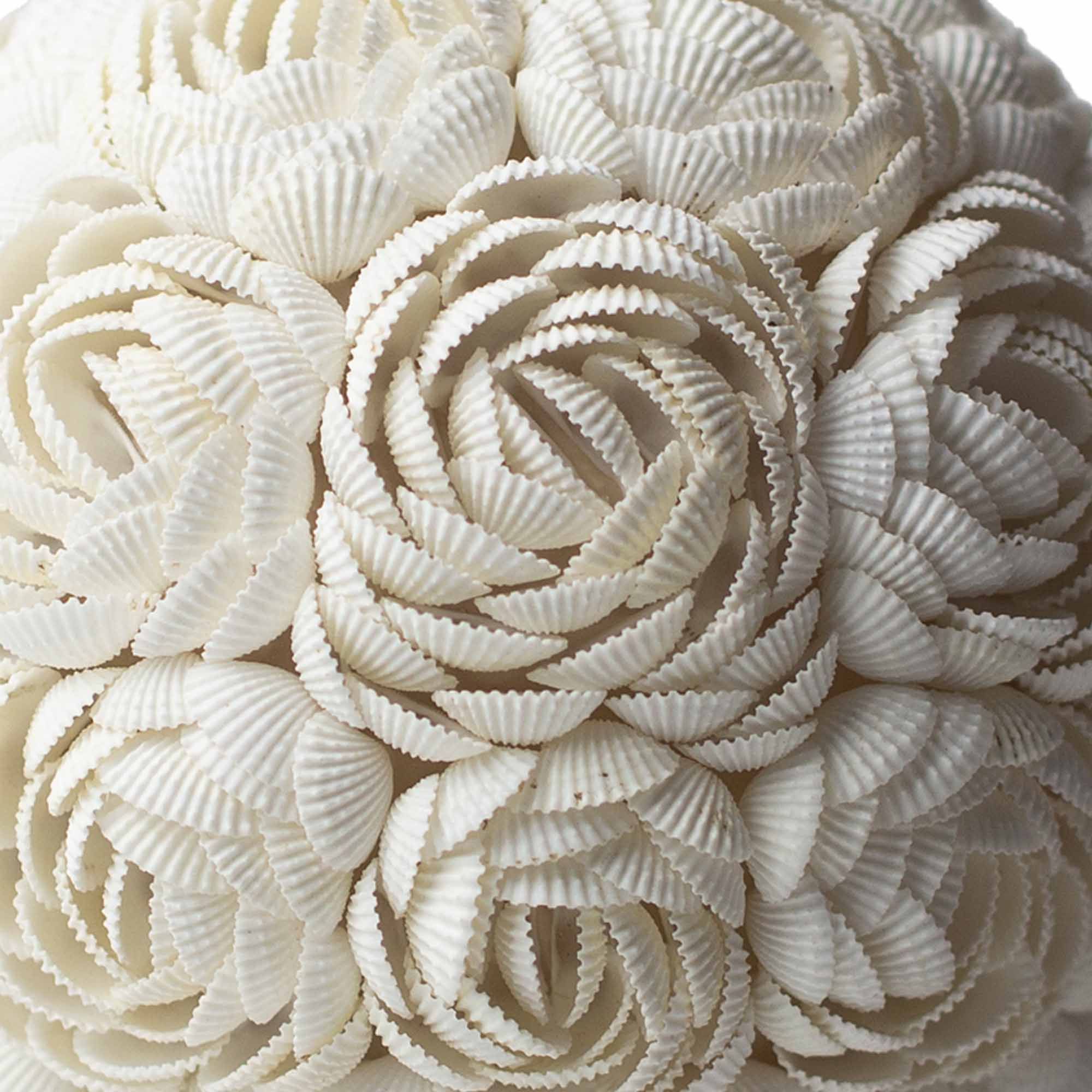 Boho Sea Shell Lamp - Rose Globe