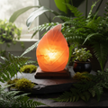 Fern Salt Lamp Botanical Lifestyle