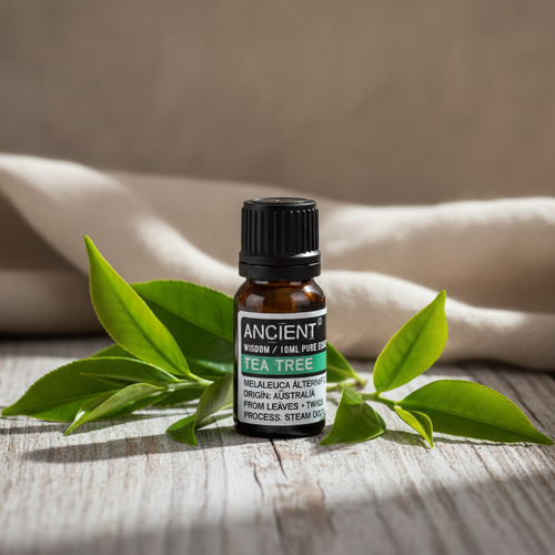 Tea Tree Essential Oil — Rustic Spa Lifestyle